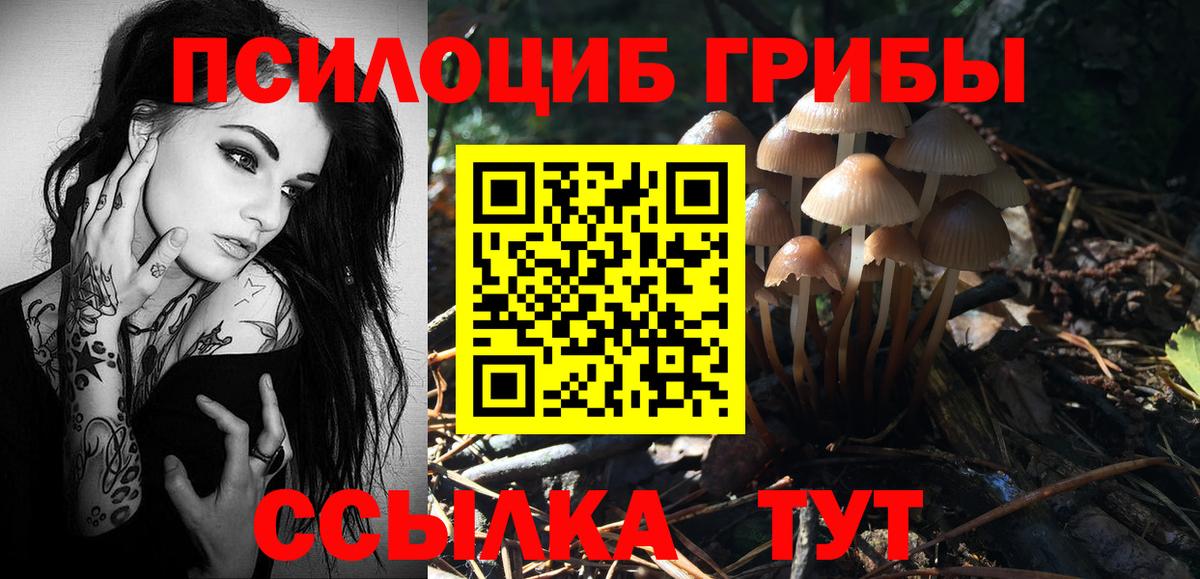 Псилоцибиновые грибы Cubensis Таганрог