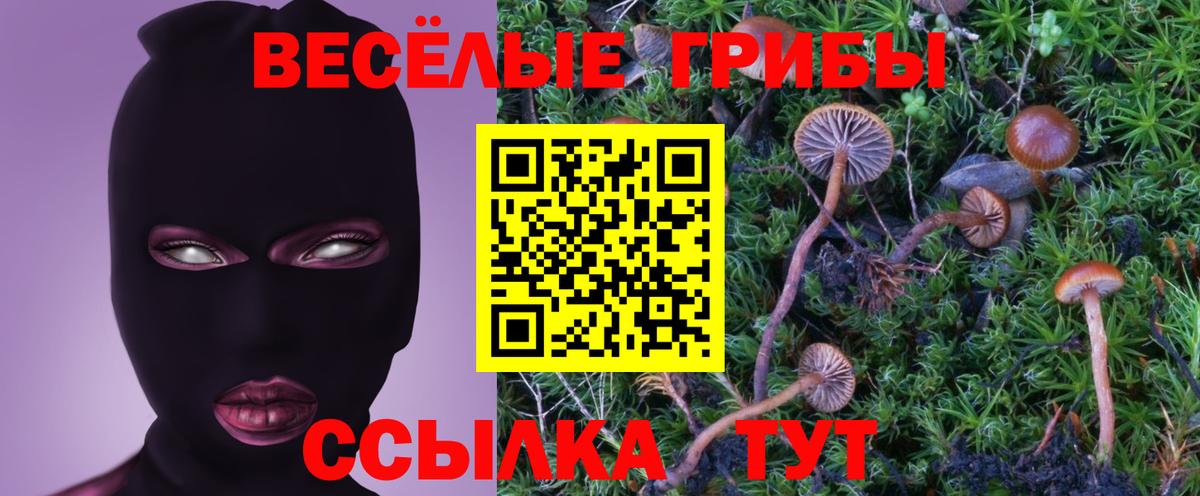 Псилоцибиновые грибы мицелий  Галлюциногенные грибы Psilocybe  Таганрог  Вход с VPN 
